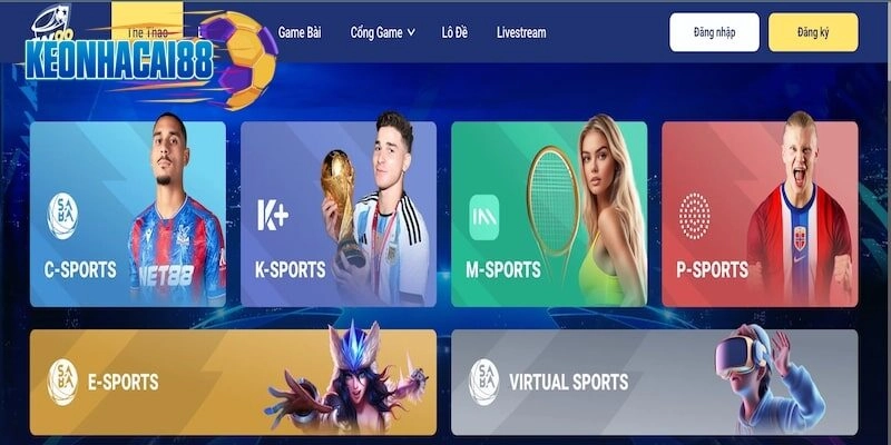 Giới thiệu các sảnh thể thao uy tín tại Sky88