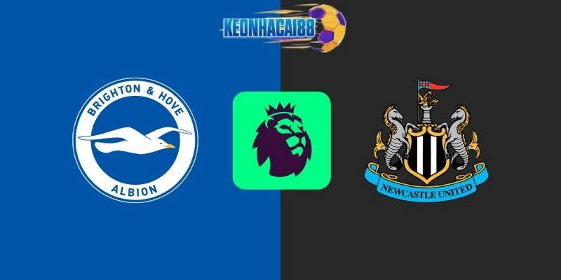 Soi kèo Brighton vs Newcastle, 20h00 ngày 4/5